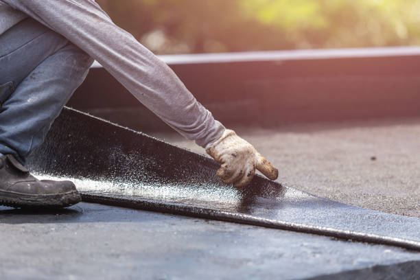 Professional Interior Drainage System technician working in Cedar Grove, IN